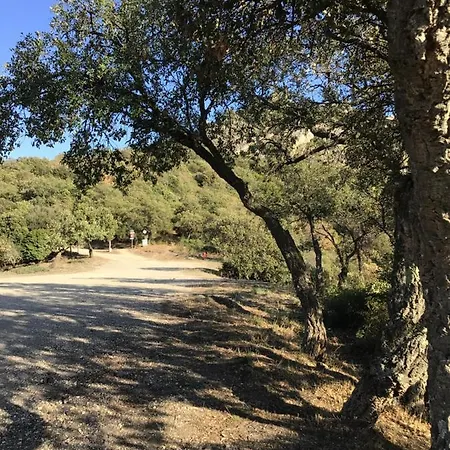 Roulotte Fenouillet Luksusowy namiot