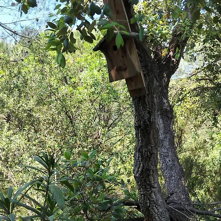 Οργανωμένο κάμπινγκ Roulotte Fenouillet