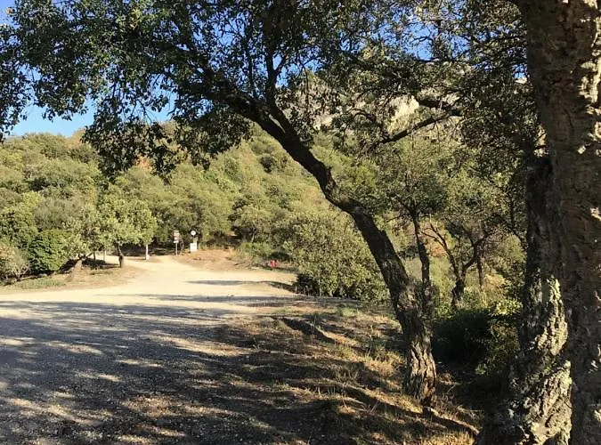 Roulotte Fenouillet Campismo de Luxo